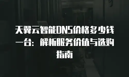 天翼云智能DNS价格多少钱一台：解析服务价值与选购指南