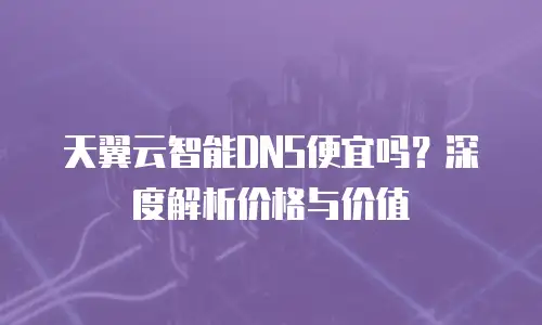 天翼云智能DNS便宜吗？深度解析价格与价值