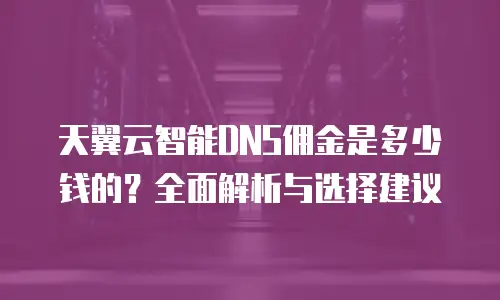 天翼云智能DNS佣金是多少钱的？全面解析与选择建议
