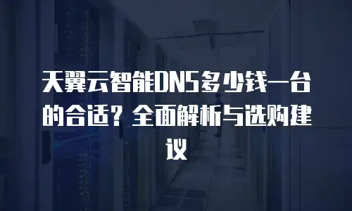 天翼云智能DNS多少钱一台的合适？全面解析与选购建议