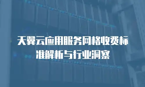 天翼云应用服务网格收费标准解析与行业洞察