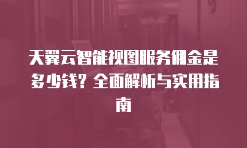 天翼云智能视图服务佣金是多少钱？全面解析与实用指南