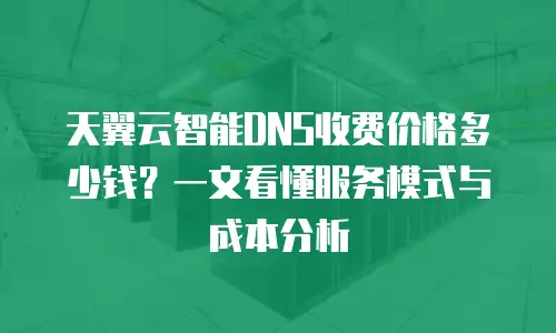天翼云智能DNS收费价格多少钱？一文看懂服务模式与成本分析