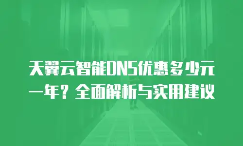 天翼云智能DNS优惠多少元一年？全面解析与实用建议