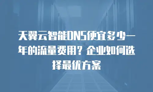 天翼云智能DNS便宜多少一年的流量费用？企业如何选择最优方案