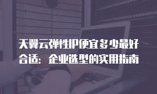 天翼云弹性IP便宜多少最好合适：企业选型的实用指南
