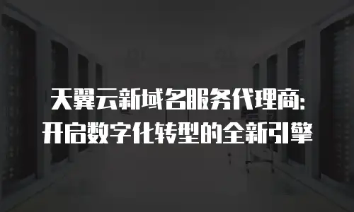 天翼云新域名服务代理商：开启数字化转型的全新引擎