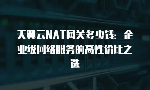 天翼云NAT网关多少钱：企业级网络服务的高性价比之选