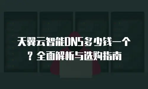 天翼云智能DNS多少钱一个？全面解析与选购指南