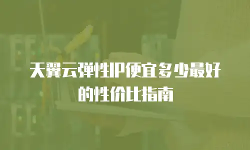 天翼云弹性IP便宜多少最好的性价比指南