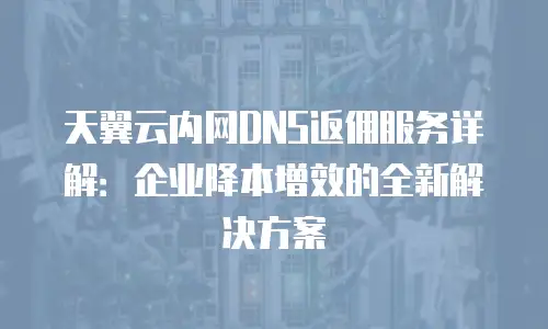 天翼云内网DNS返佣服务详解：企业降本增效的全新解决方案