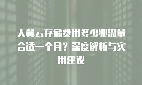 天翼云存储费用多少兆流量合适一个月？深度解析与实用建议