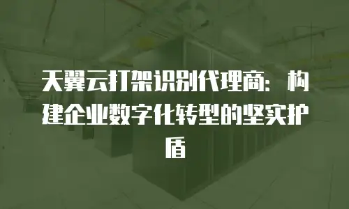 天翼云打架识别代理商：构建企业数字化转型的坚实护盾