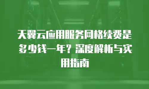 天翼云应用服务网格续费是多少钱一年？深度解析与实用指南
