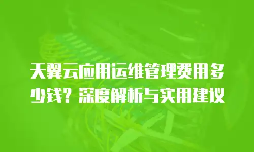 天翼云应用运维管理费用多少钱？深度解析与实用建议