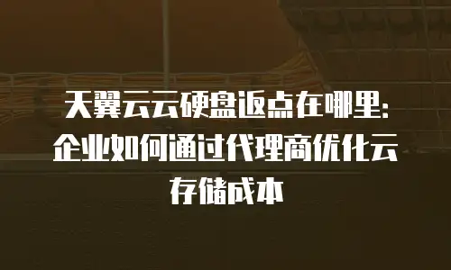 天翼云云硬盘返点在哪里：企业如何通过代理商优化云存储成本