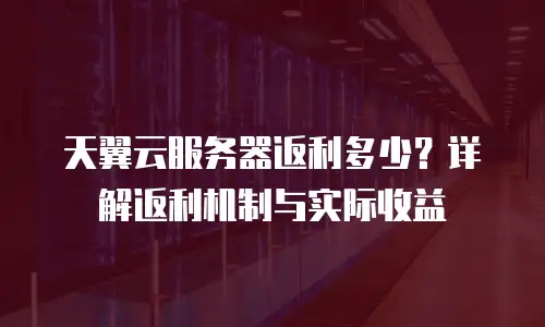 天翼云服务器返利多少？详解返利机制与实际收益