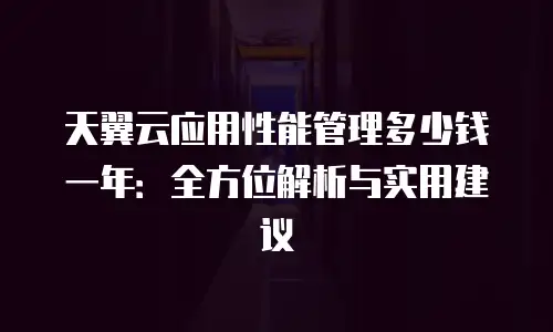 天翼云应用性能管理多少钱一年：全方位解析与实用建议
