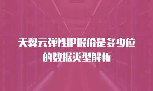 天翼云弹性IP报价是多少位的数据类型解析
