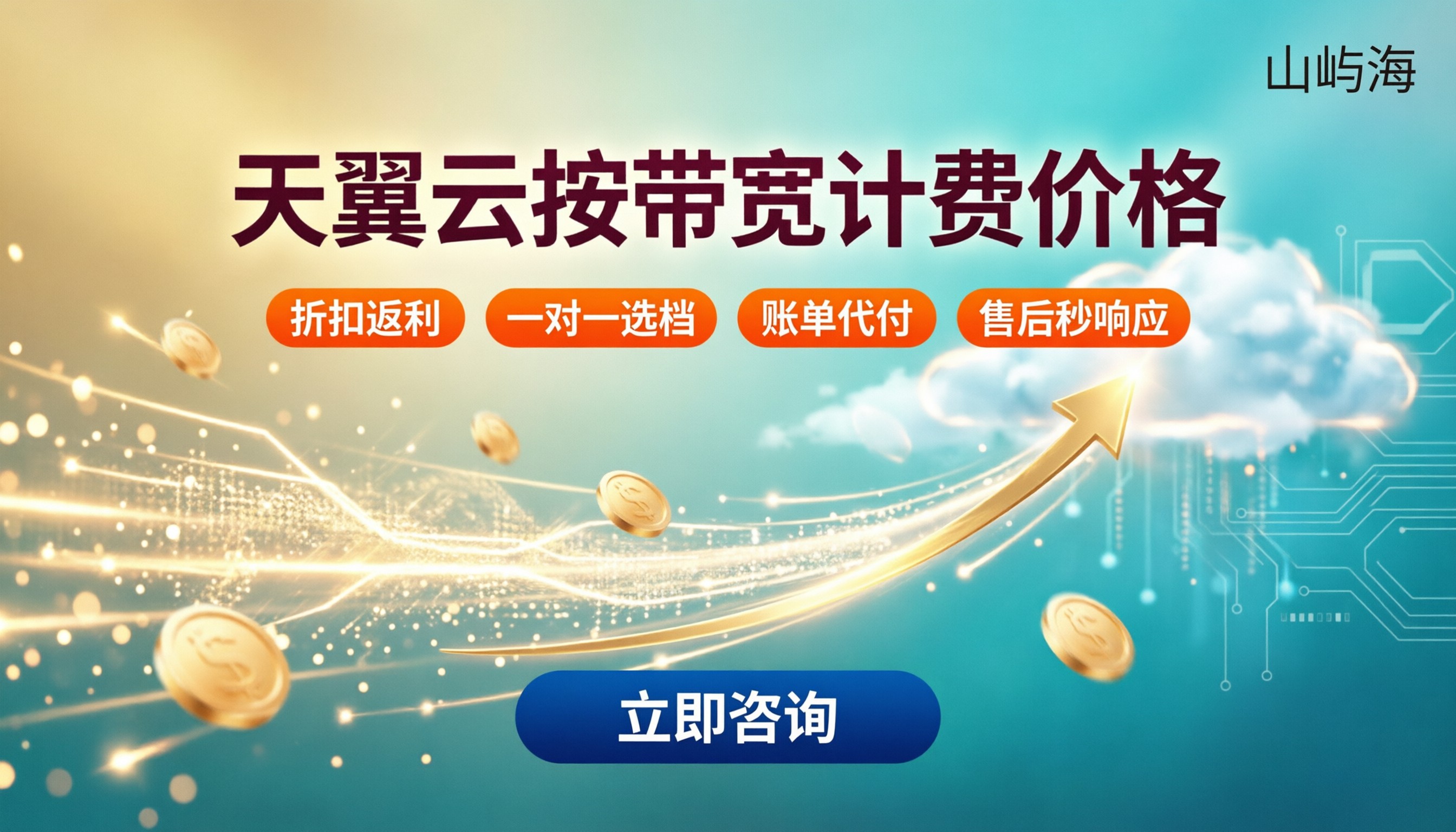 天翼云按带宽计费价格：怎么选更划算？